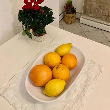 Storico Ombelico Di Appartement *